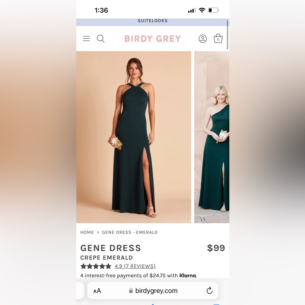 NWT Birdy Grey Bridesmaids Dress Sz S